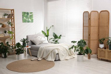 Tencere ve yatağın içinde farklı güzel bitkiler.