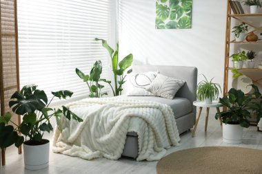 Tencere ve yatağın içinde farklı güzel bitkiler.