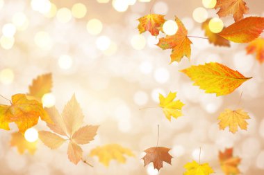 Parlak sonbahar yaprakları havada uçuşuyor ve parlak arka planda bokeh ışıkları