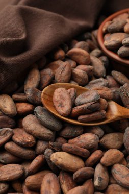 Taze kakao çekirdekleri, kaşık ve kumaş, yakın plan.