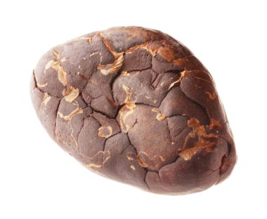 Bir doğal kakao çekirdeği beyaz üzerine izole edilmiş.