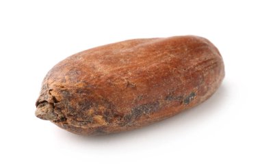 Bir doğal kakao çekirdeği beyaz üzerine izole edilmiş.