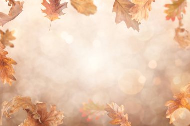 Havada uçan güzel sonbahar yaprakları ve kahverengi eğimli arka planda bokeh ışıkları