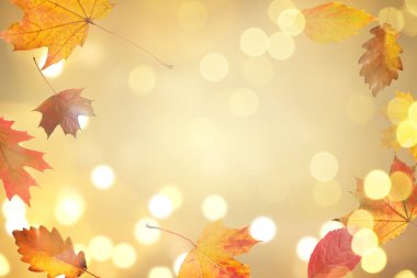 Havada uçuşan güzel sonbahar yaprakları ve altın arka planda ışıklar