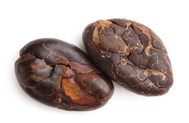 Doğal kakao çekirdekleri beyaz üzerine izole edilmiş.