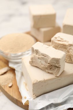 Taze ve kuru maya parçaları ışık masasında, yakın plan.