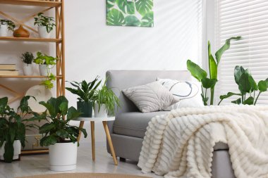 Tencere ve yatağın içinde farklı güzel bitkiler.