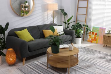 Rahat bir kanepe, kahve masası ve farklı saksı bitkileri.