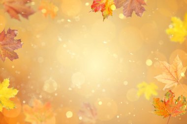 Parlak sonbahar yaprakları havada uçuşuyor ve turuncu arka planda bokeh ışıkları