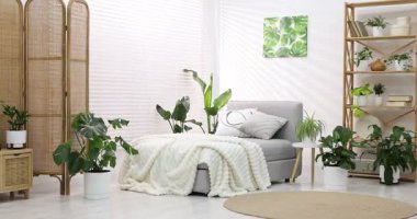 Tencere ve yatağın içinde farklı güzel bitkiler, sola hareket eden kameralar.