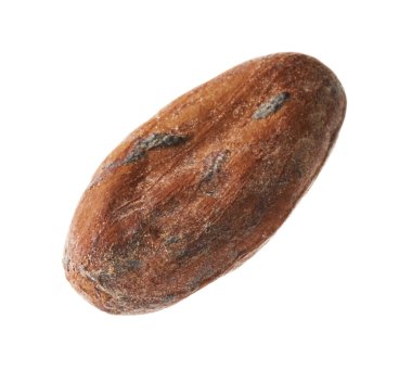 Bir doğal kakao çekirdeği beyaz üzerine izole edilmiş.