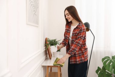 Kapalı alandaki konsol masasından tozu silen ev bitkisi olan kadın.