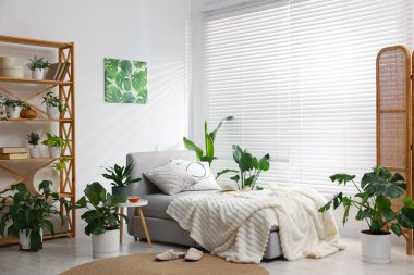 Tencere ve yatağın içinde farklı güzel bitkiler.