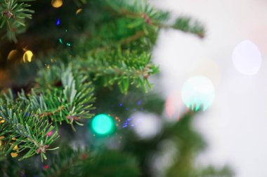 Işık arka planında neşeli ışıkları olan güzel Noel ağacı, yakın plan