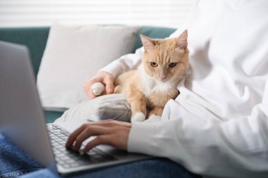 Evdeki kanepede dizüstü bilgisayar kullanan sevimli kedisi olan bir adam.