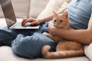 Kanepede dizüstü bilgisayar kullanan sevimli kedisi olan adam, yakın plan.