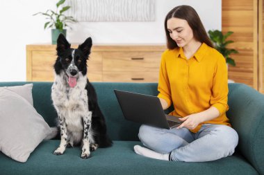 Evdeki kanepede dizüstü bilgisayarı ve sevimli köpeği olan güzel bir kadın.