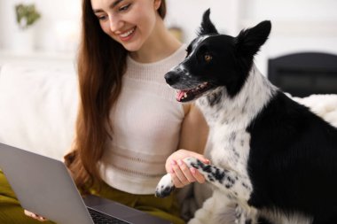 Evde dizüstü bilgisayarı olan gülümseyen sahibine patisini veren sevimli köpek.