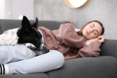 Evdeki kanepede uyuyan sevimli köpeğiyle genç bir kadın.