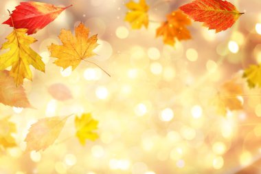 Havada uçan güzel sonbahar yaprakları ve altın arka planda bokeh ışıkları