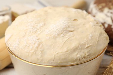 Tabakta taze maya hamuru, yakın plan.