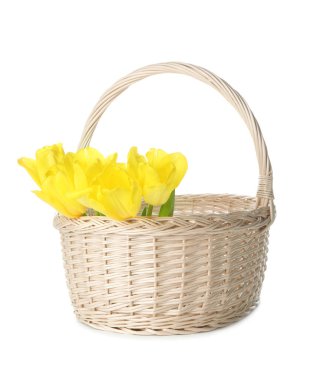 Sarı laleli hasır sepet beyaza izole edilmiş