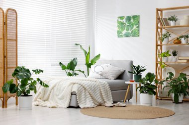 Tencere ve yatağın içinde farklı güzel bitkiler.