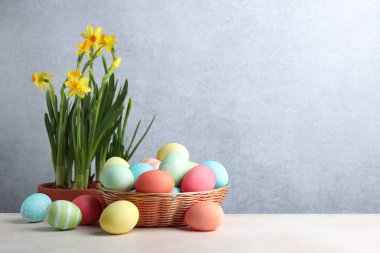 Hasır sepete boyanmış Paskalya yumurtaları ve bej masaya güzel nergisler, mesaj için yer.