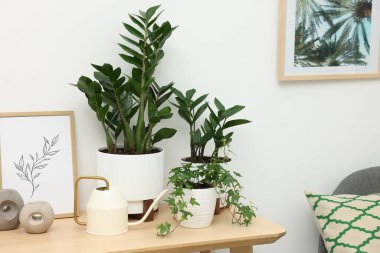 Kapalı alandaki beyaz duvarın yanındaki masada farklı saksı bitkilerinin sulama kutusu ve dekorasyonu var.