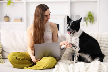 Evdeki kanepede dizüstü bilgisayarı olan gülümseyen sahibine patisini veren sevimli köpek.