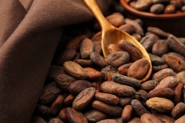 Taze kakao çekirdekleri, kaşık ve kumaş, yakın plan.