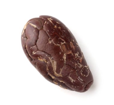 Bir doğal kakao çekirdeği, beyaz üzerine izole edilmiş, üst manzara.