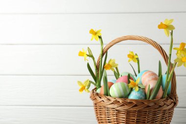 Beyaz ahşap arka planda, hasır sepete boyanmış Paskalya yumurtaları ve güzel nergisler. Yakın plan. Metin için boşluk