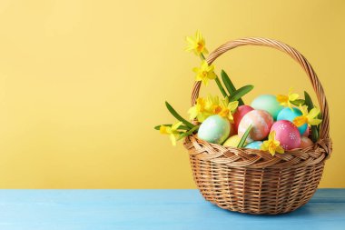Boyanmış Paskalya yumurtaları ve hasır sepetin içindeki güzel nergisler açık mavi ahşap masa üzerinde bej arka plan, metin için alan