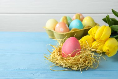 Kutuya boyanmış Paskalya yumurtaları, yuva ve açık mavi ahşap masa üzerinde güzel laleler, yakın plan. Metin için boşluk