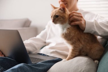 Evdeki kanepede dizüstü bilgisayar kullanan sevimli kedisi olan bir adam.
