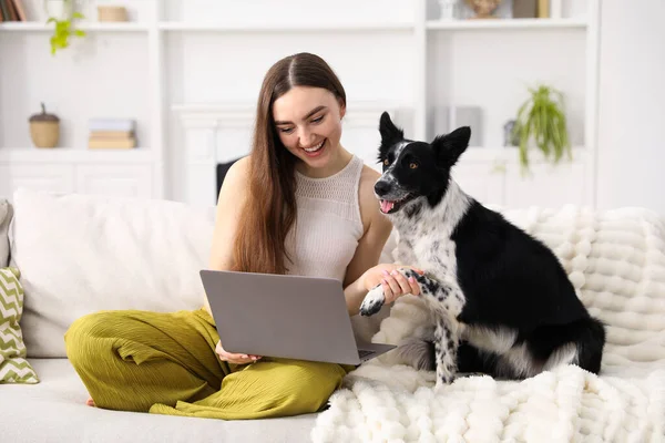 Evdeki kanepede dizüstü bilgisayarı olan gülümseyen sahibine patisini veren sevimli köpek.