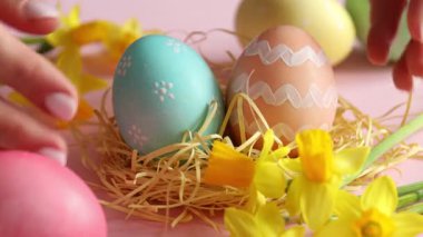 Kadın, boyalı Paskalya yumurtalarını yuvaya koyuyor ve pembe arka planda güzel nergisleri ayarlıyor.