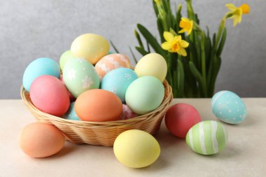 Hasır sepetin içine boyanmış Paskalya yumurtaları bej masa üzerinde ve nergisler gri arkaplanda, yakın plan