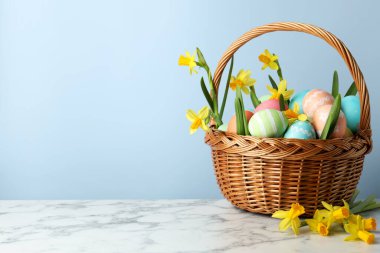 Boyanmış Paskalya yumurtaları ve hasır sepetin içindeki güzel nergisler beyaz mermer masa üzerinde açık mavi arkaplan, metin için yer