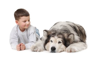 Beyaz arka planda sevimli Alaska köpeğiyle küçük bir çocuk.