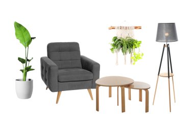 Ev bitkileri, rahat koltuk, zemin lambası ve beyaza izole edilmiş yuva masaları. Konforlu iç mekan için ayarlandı