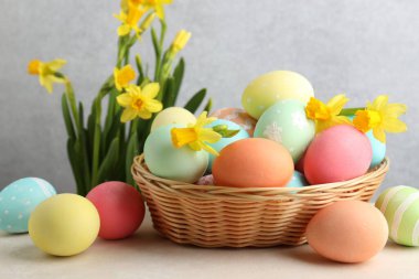 Hasır sepetin içine boyanmış Paskalya yumurtaları bej masa üzerinde ve nergisler gri arkaplanda, yakın plan