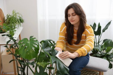 Evde yaprakları silen güzel bir kadın.