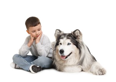 Küçük çocuk beyaz arka planda sevimli Alaska malamute köpeğine bakıyor.