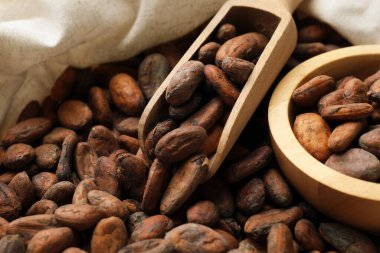 Taze kakao çekirdeği, kepçe kepçe ve kase, yakın plan.