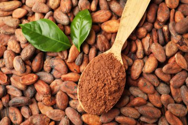 Tahta kaşıkta kakao tozu ve fasulyelerin üzerinde yeşil yapraklar.