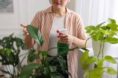 Güzel saksı bitkisine su püskürten bir kadın, yakın plan.