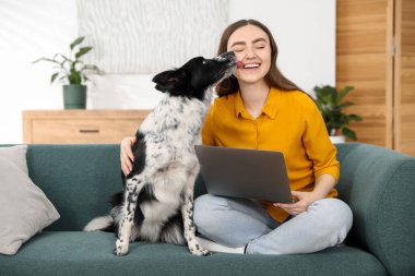 Evdeki kanepede dizüstü bilgisayarı ve sevimli köpeğiyle gülümseyen kadın.