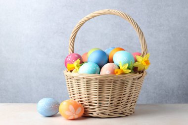 Boyanmış Paskalya yumurtaları ve bej masadaki hasır sepetteki güzel nergisler.